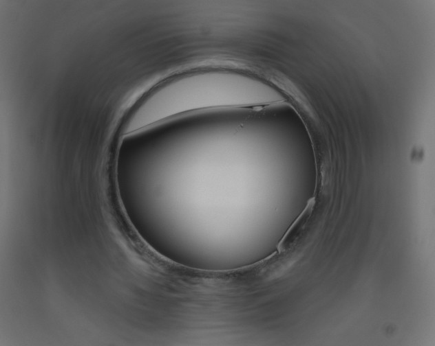 X0000093520436200710121131