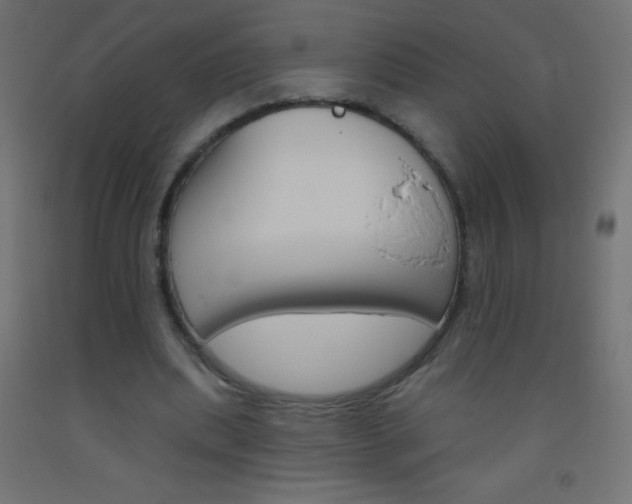 X0000093520439200710121131