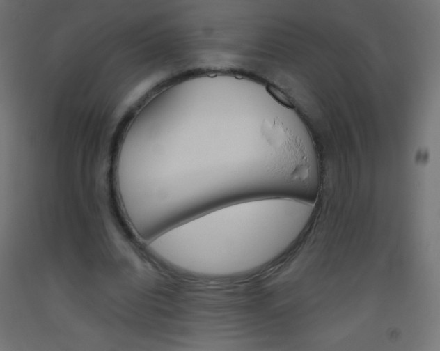 X0000093520440200710121131