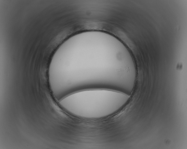 X0000093520441200710121131