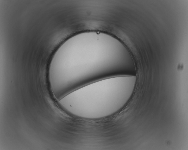 X0000093520442200710121131
