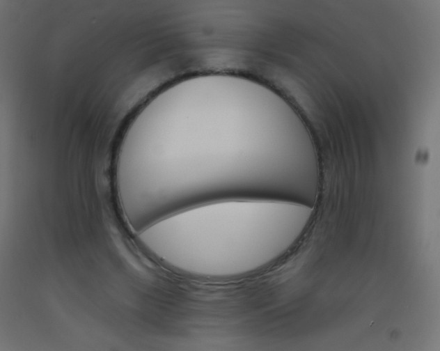 X0000093520443200710121131