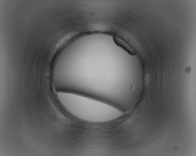 X0000093520444200710121131