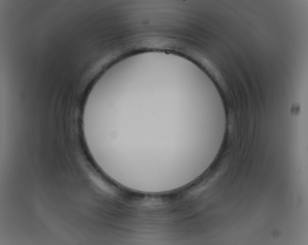 X0000093520445200710121131