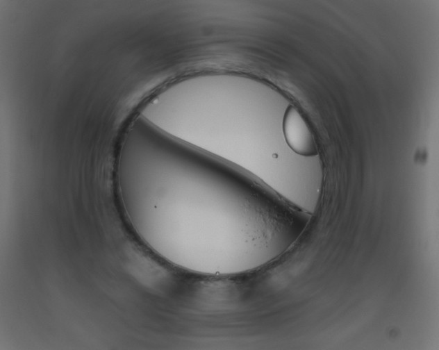 X0000093520446200710121131