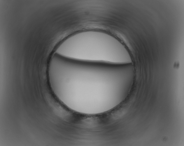X0000093520447200710121131