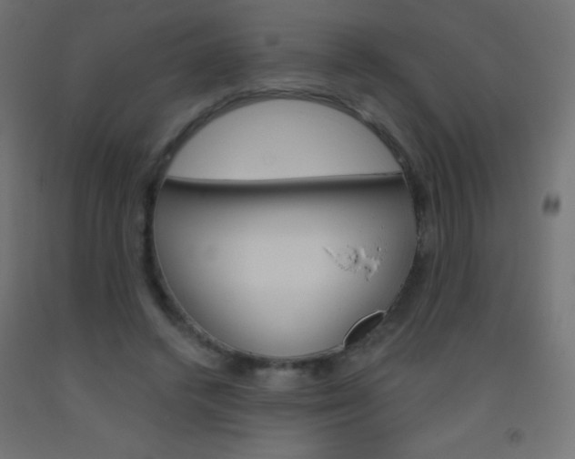 X0000093520448200710121131
