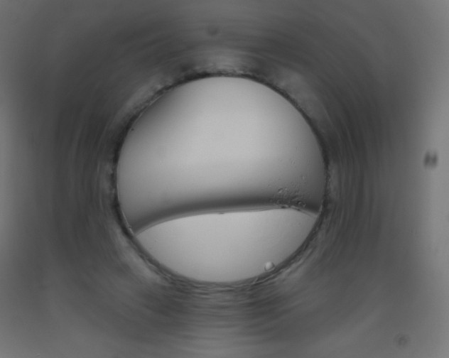 X0000093520449200710121131