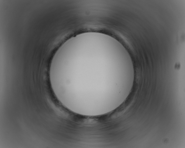 X0000093520451200710121131