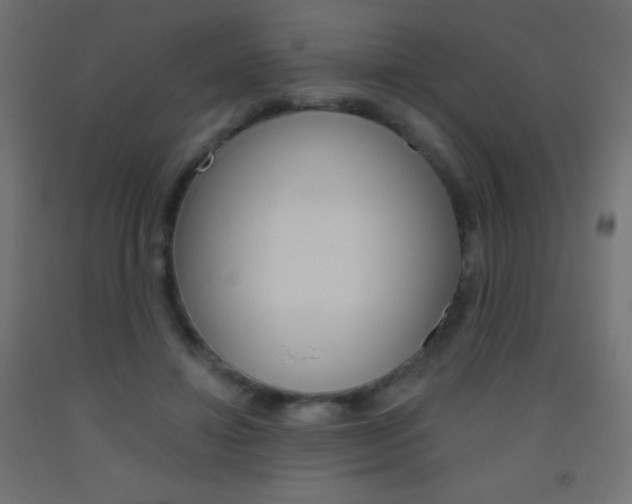 X0000093520452200710121131