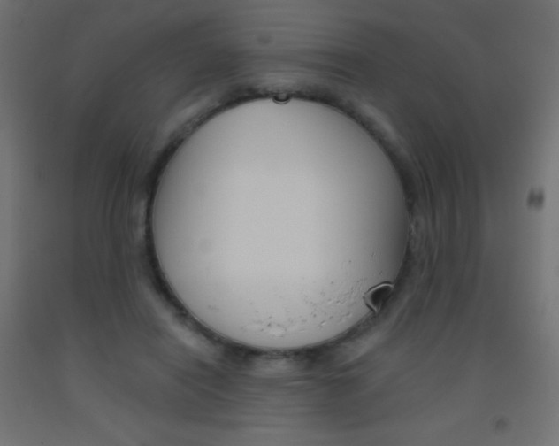 X0000093520454200710121131