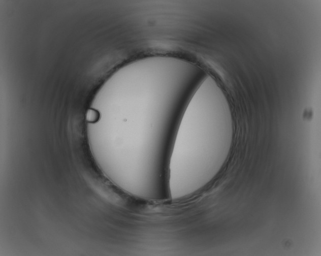 X0000093520455200710121131