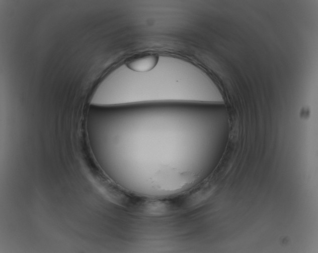X0000093520456200710121131