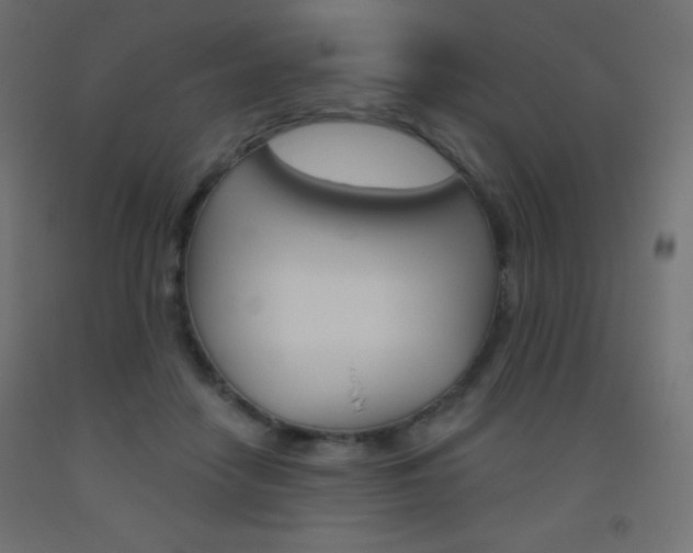 X0000093520458200710121131