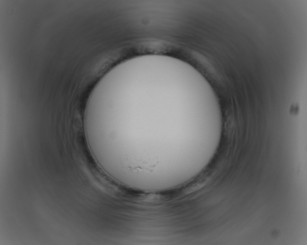 X0000093520459200710121131