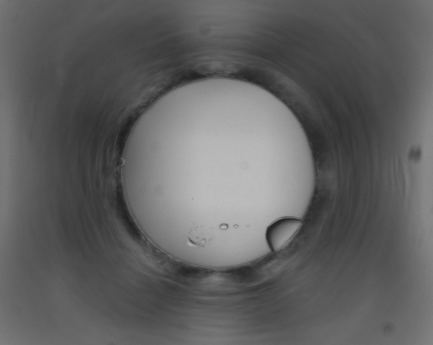 X0000093520460200710121131