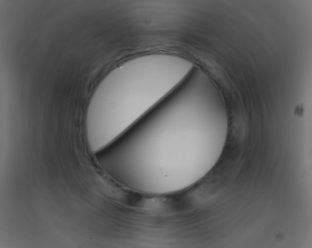 X0000093520461200710121131