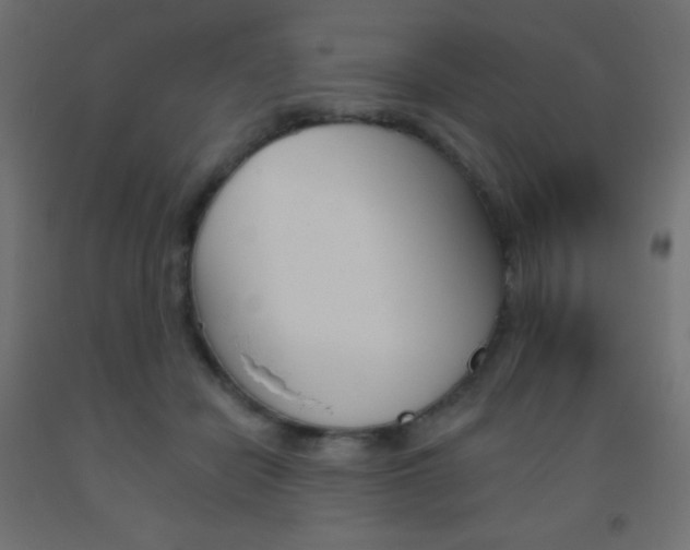 X0000093520462200710121131