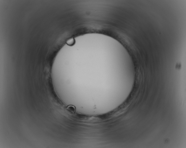 X0000093520463200710121131
