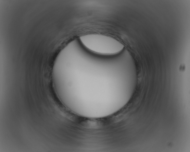 X0000093520464200710121131