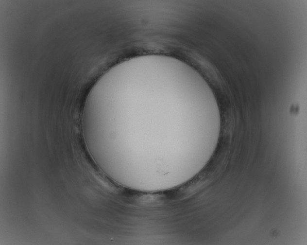 X0000093520465200710121131