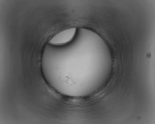 X0000093520466200710121131