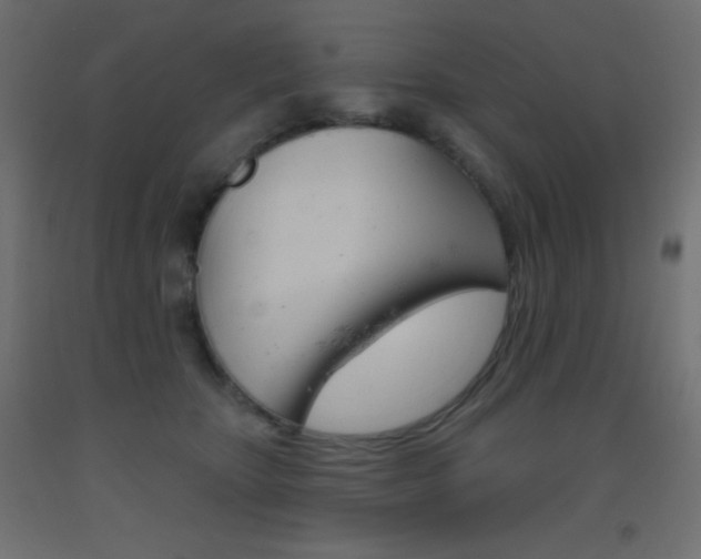 X0000093520467200710121131