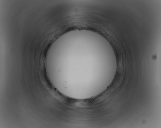X0000093520468200710121131
