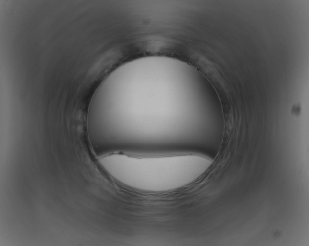 X0000093520470200710121131