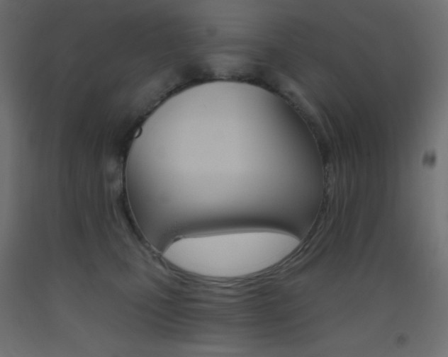 X0000093520471200710121131