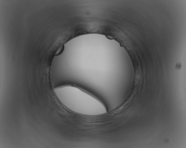 X0000093520473200710121131
