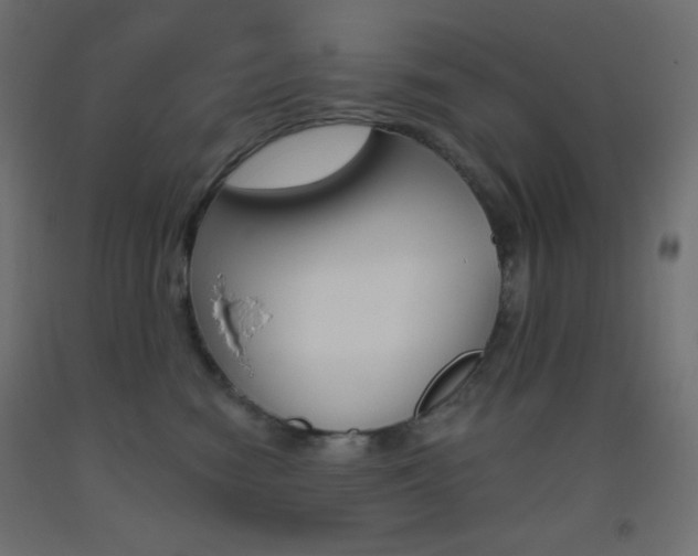 X0000093520474200710121131