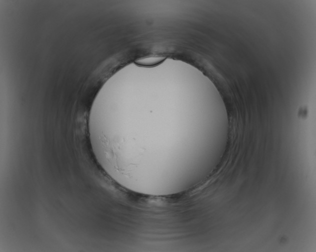 X0000093520475200710121131
