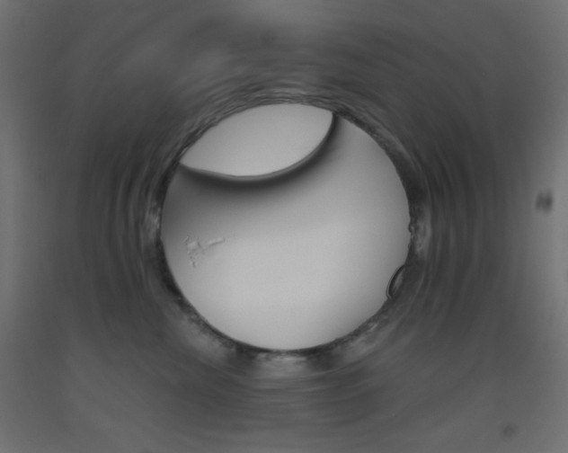 X0000093520476200710121131