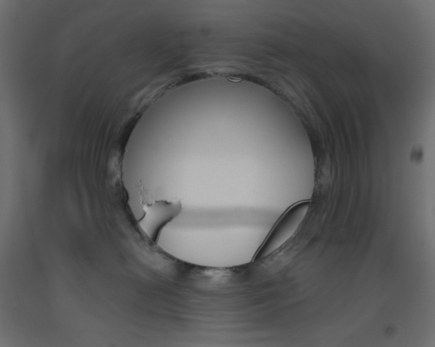 X0000093520478200710121131