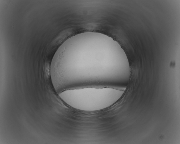 X0000093520479200710121131