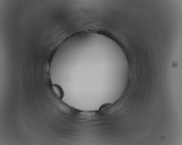 X0000093520480200710121131