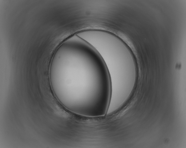X0000093520481200710121131
