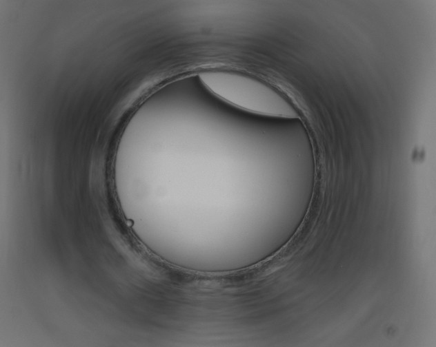 X0000093520482200710121131