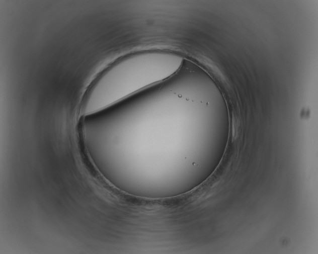 X0000093520483200710121131