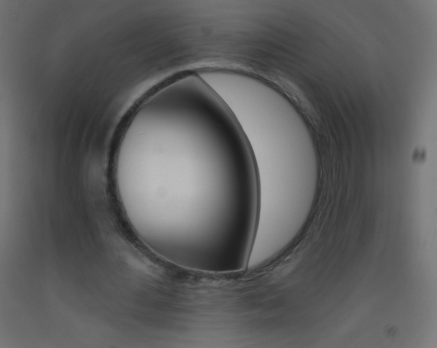 X0000093520484200710121131