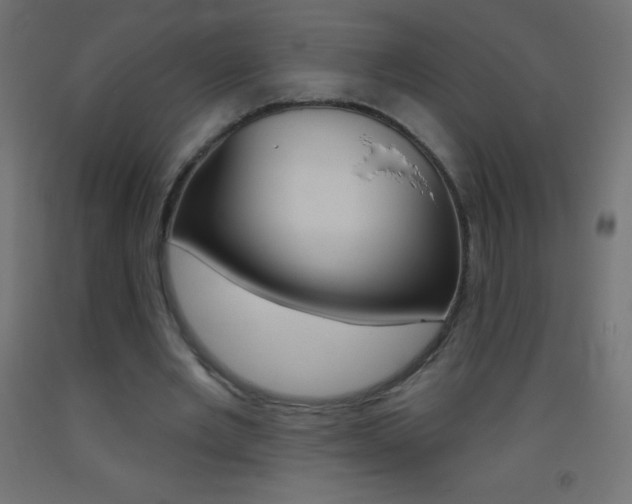X0000093520485200710121131