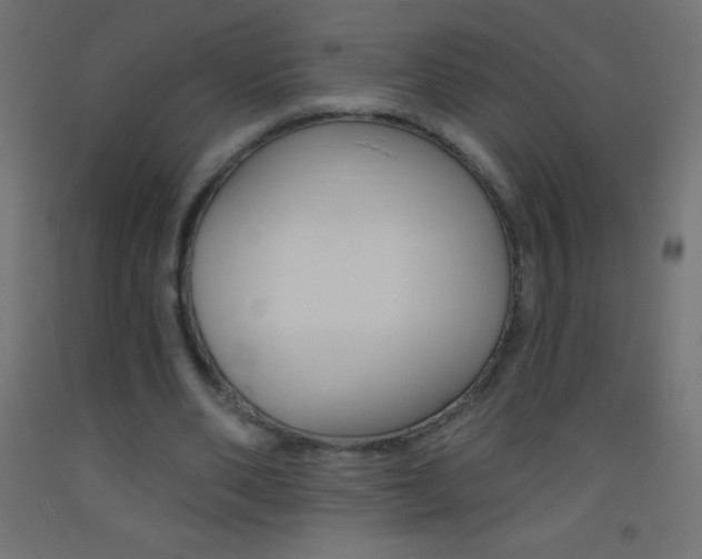 X0000093520486200710121131