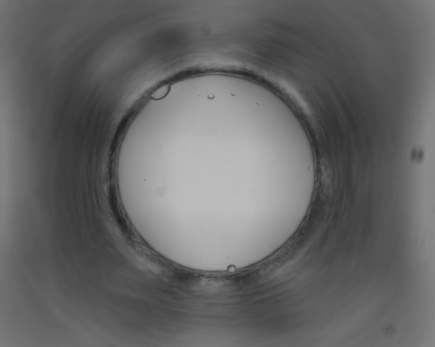 X0000093520487200710121131