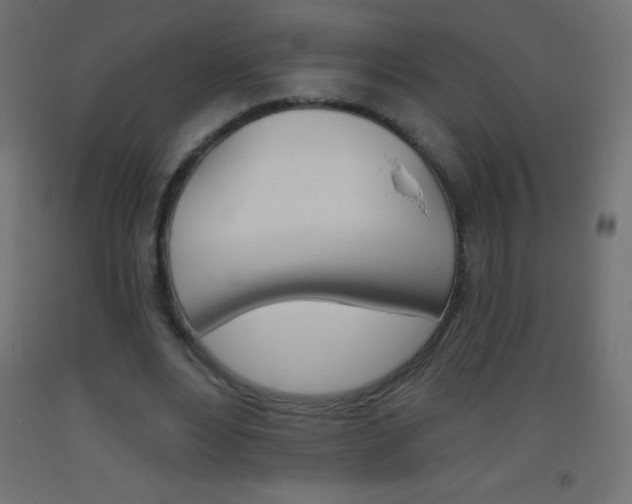X0000093520488200710121131