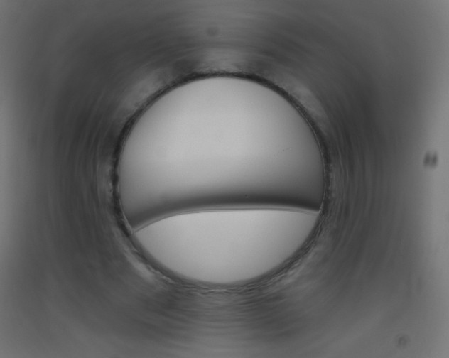 X0000093520489200710121131