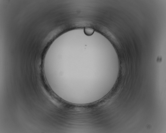 X0000093520490200710121131