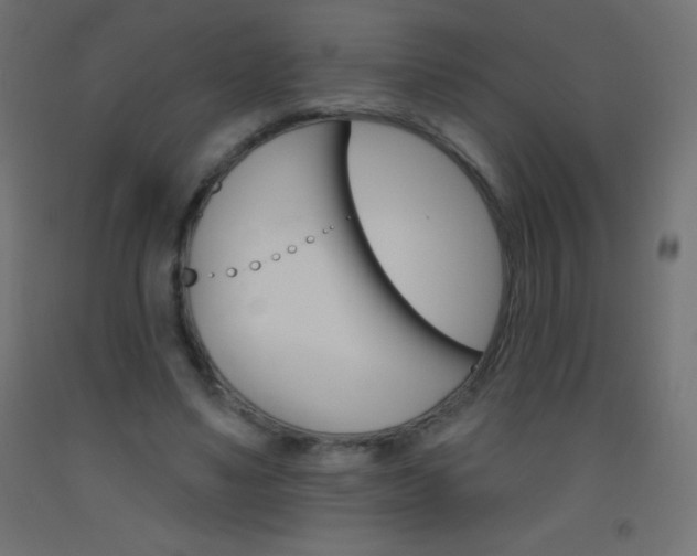 X0000093520491200710121131