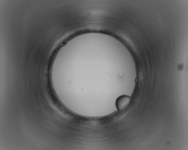 X0000093520492200710121131