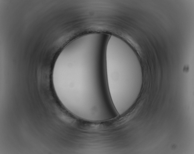 X0000093520493200710121131